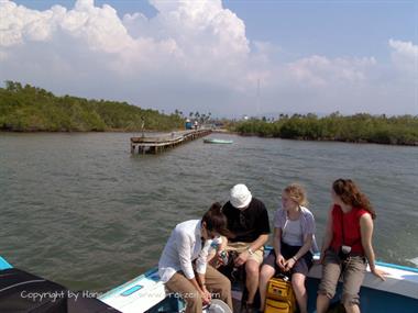 2004 Cuba, Maria la Gorda - Cayo Levisa, DSC00635 B_B720